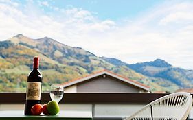 Gruyere Alpes Appartement 3 Chambres Bbq Parking
